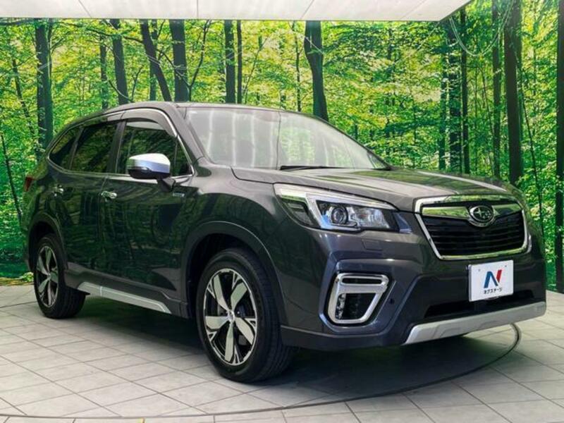 FORESTER-16