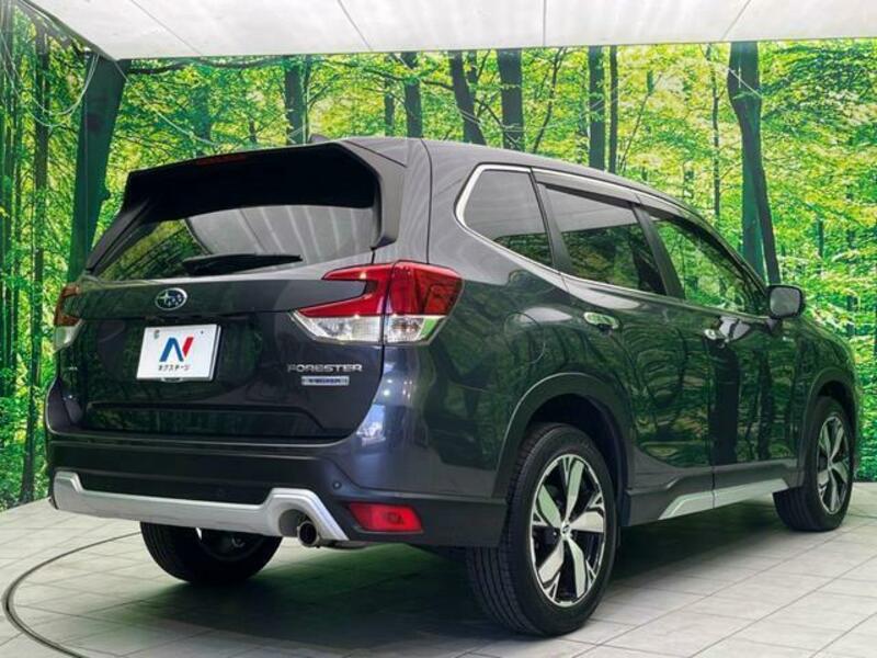 FORESTER-17