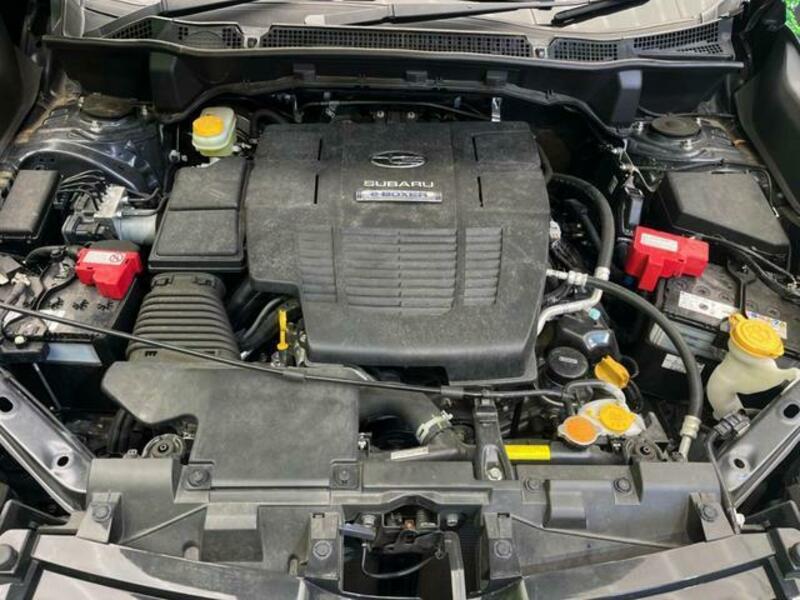 FORESTER-18