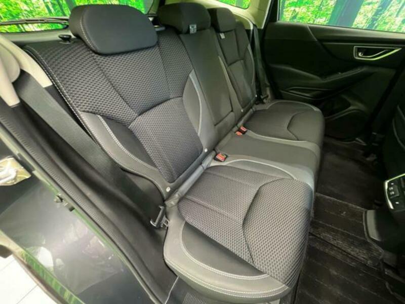 FORESTER-9