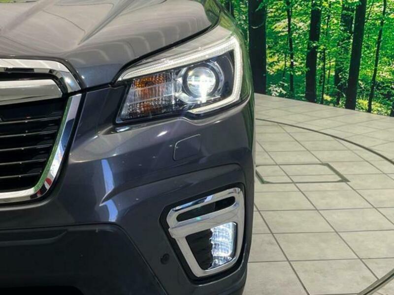 FORESTER-12