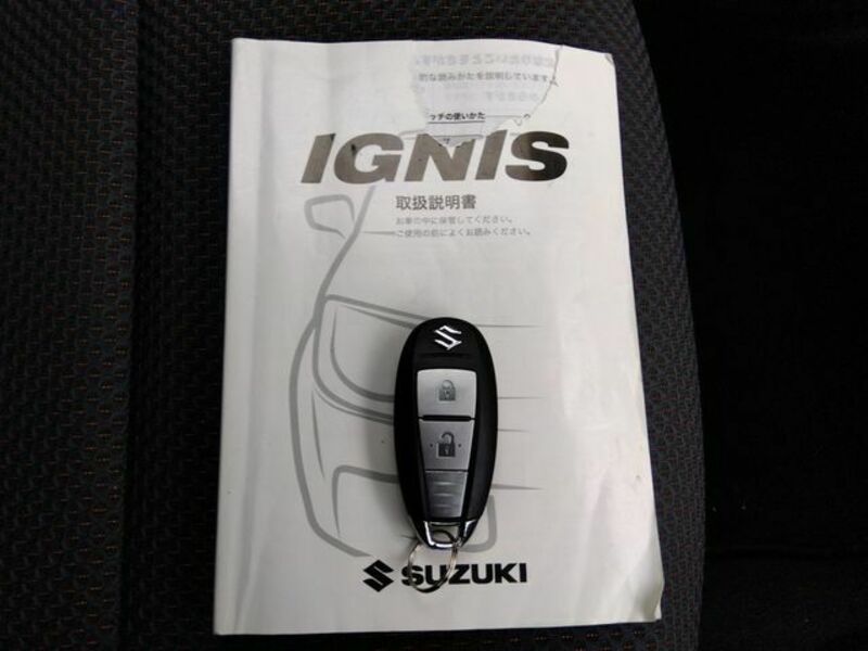 IGNIS-19