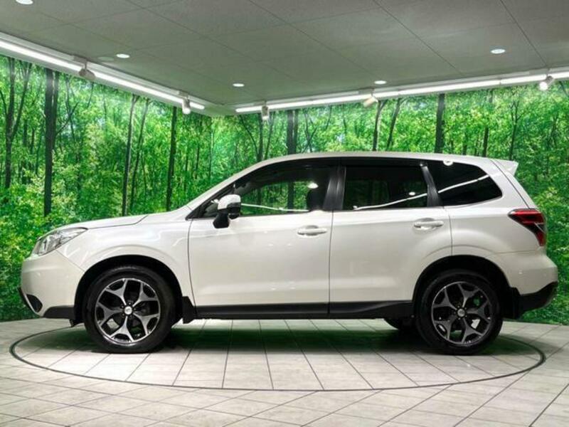 FORESTER