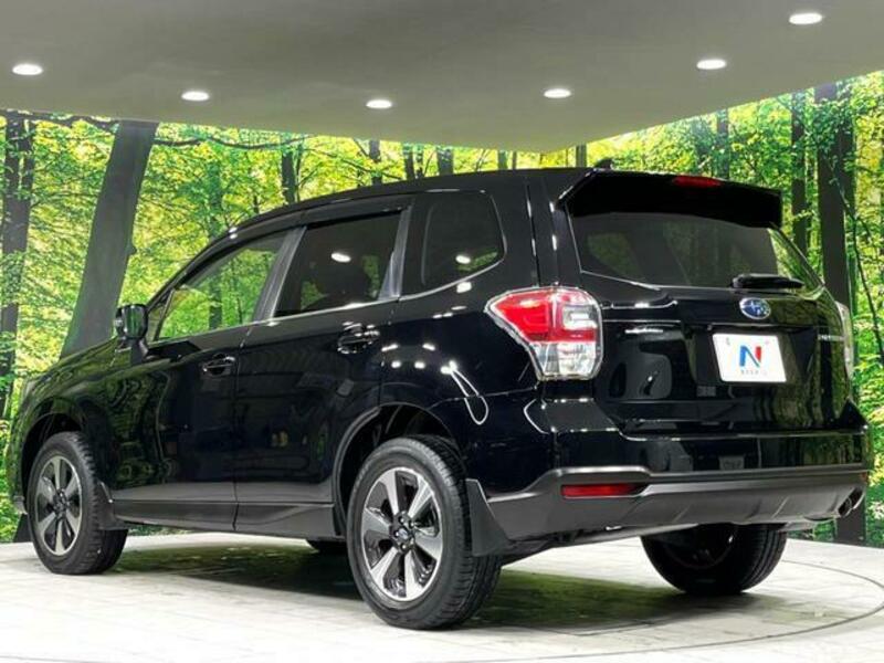 FORESTER
