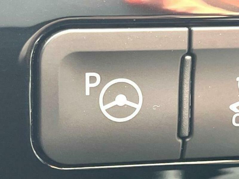 PRIUS-6