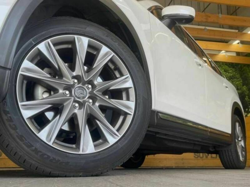CX-8-13