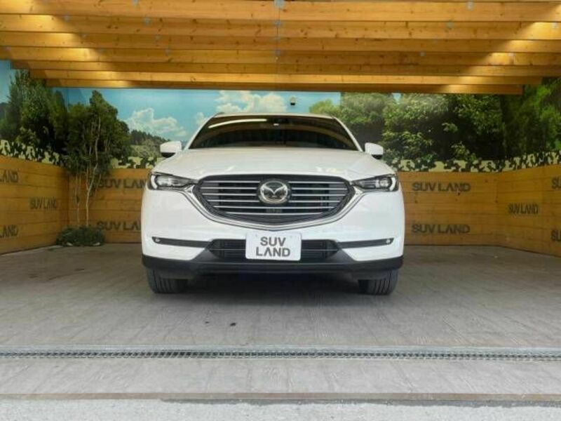 CX-8-14
