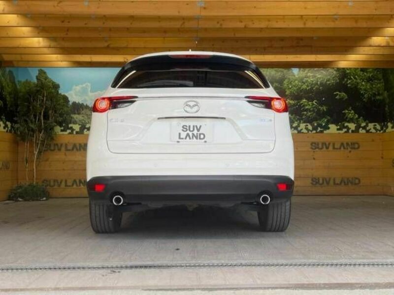 CX-8-15