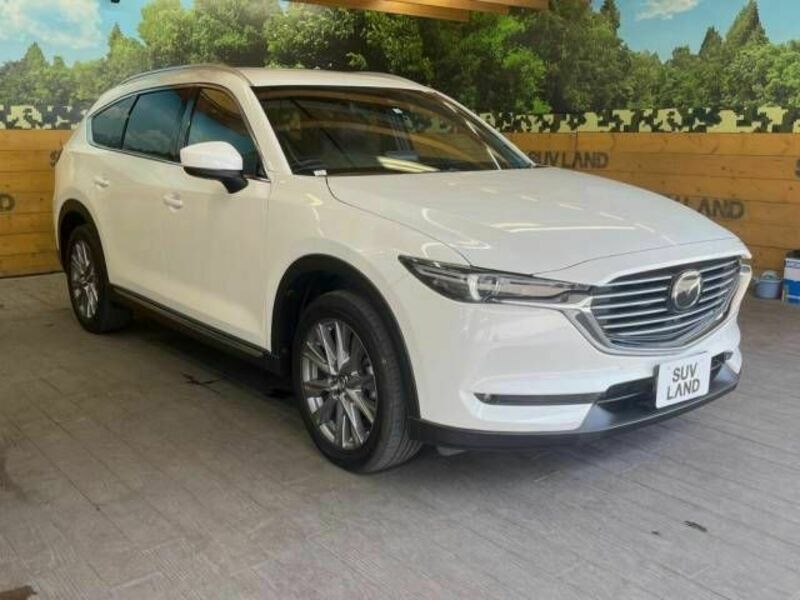 CX-8-16