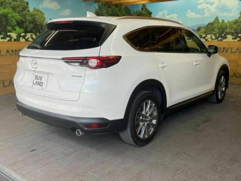 CX-8-17
