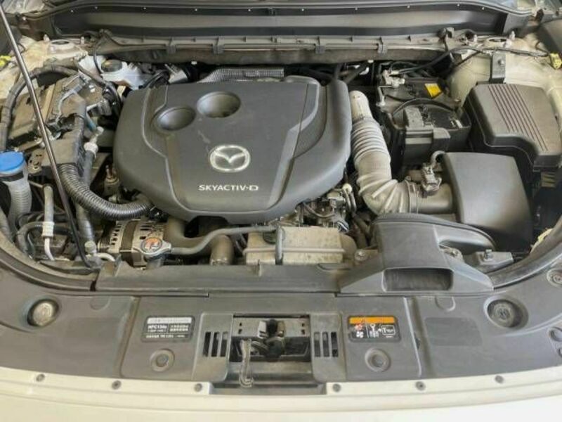 CX-8-18