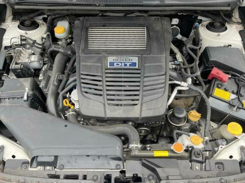 LEVORG-19