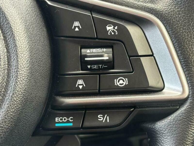 FORESTER-4