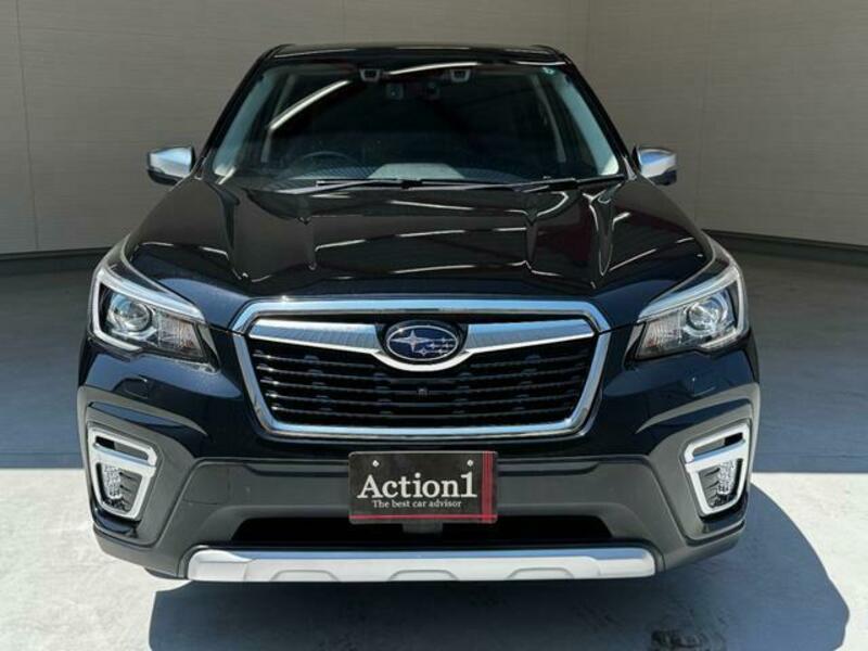 FORESTER-16