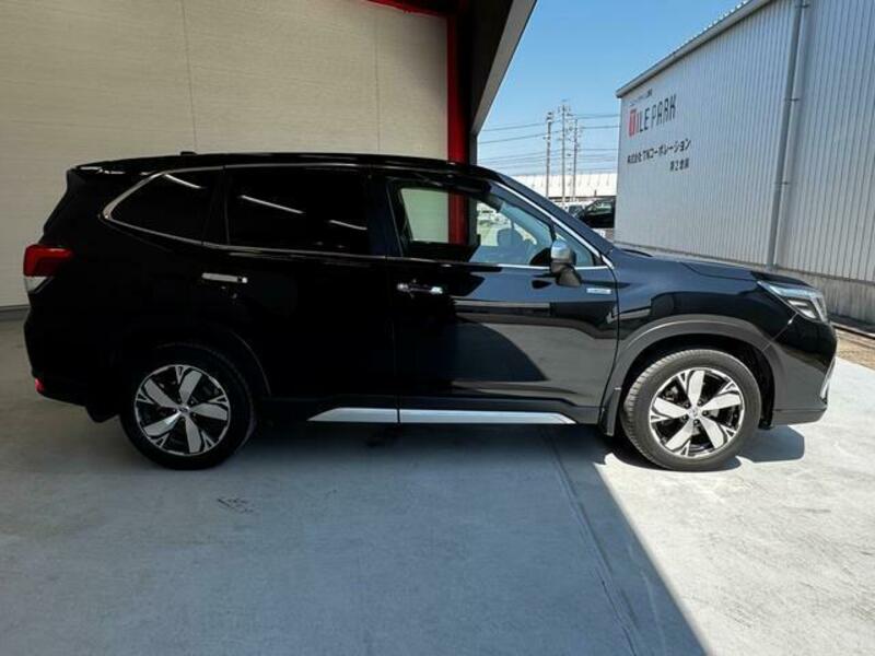 FORESTER-17