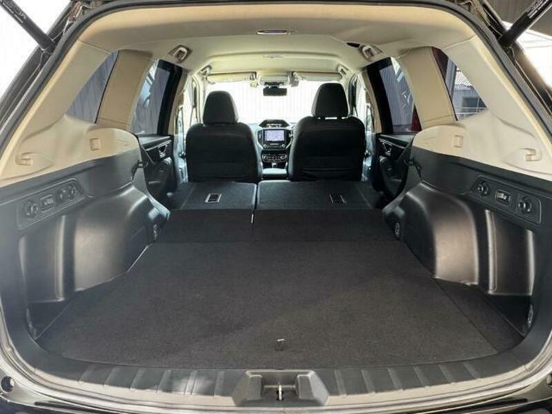 FORESTER-19