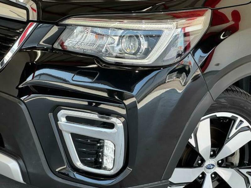 FORESTER-9