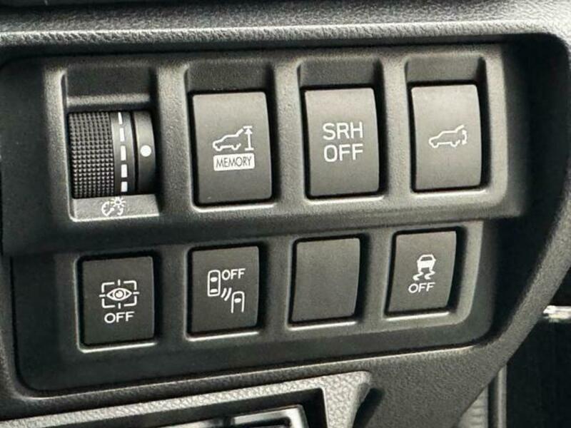 FORESTER-3