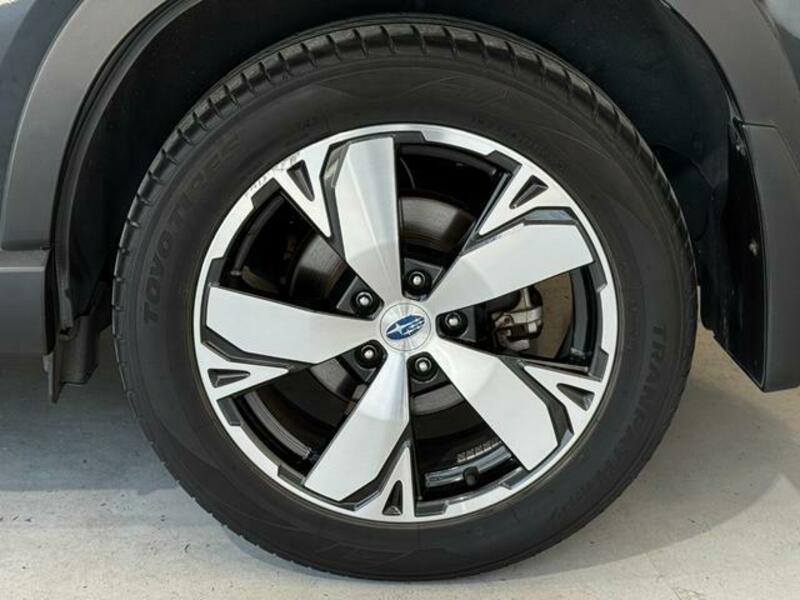 FORESTER-10