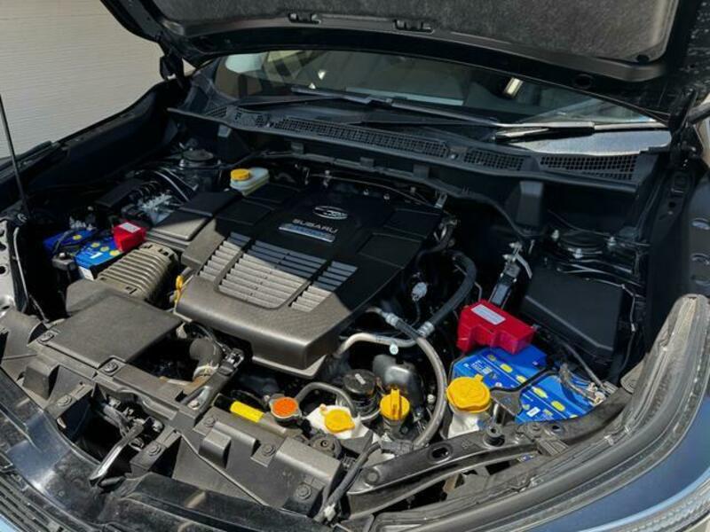 FORESTER-13