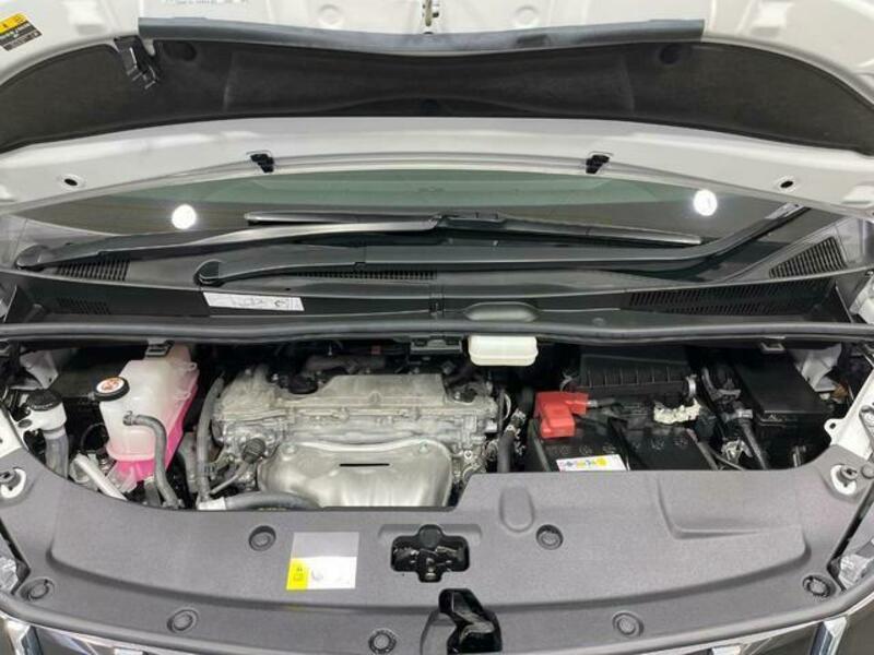 ALPHARD-19