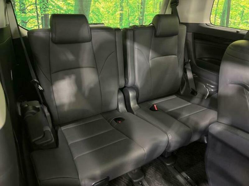 ALPHARD-10