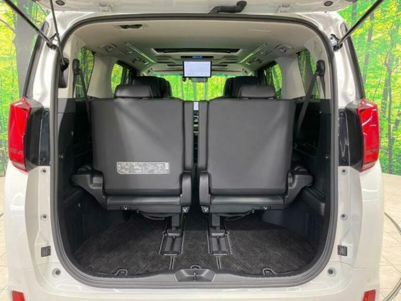 ALPHARD-11