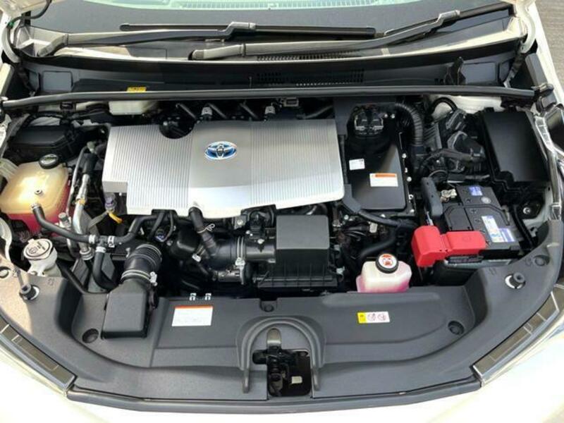 PRIUS-19