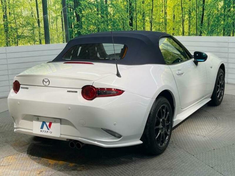 ROADSTER-17