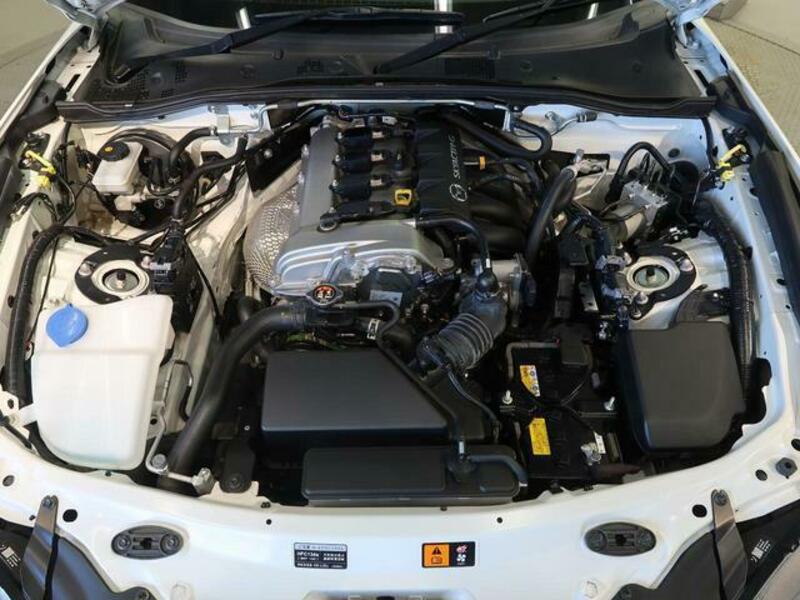 ROADSTER-17