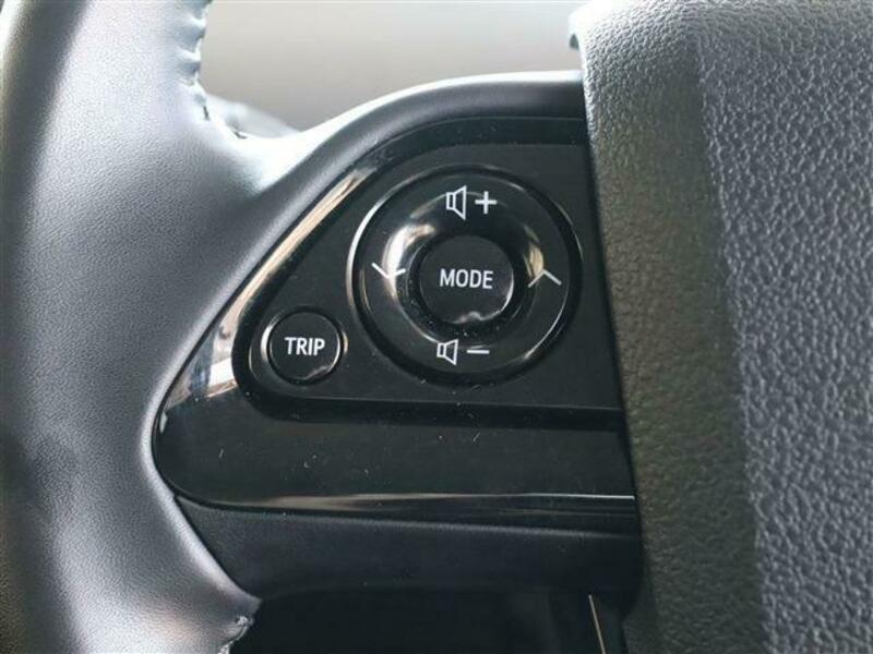 PRIUS-19