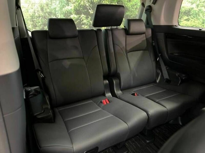 ALPHARD-12