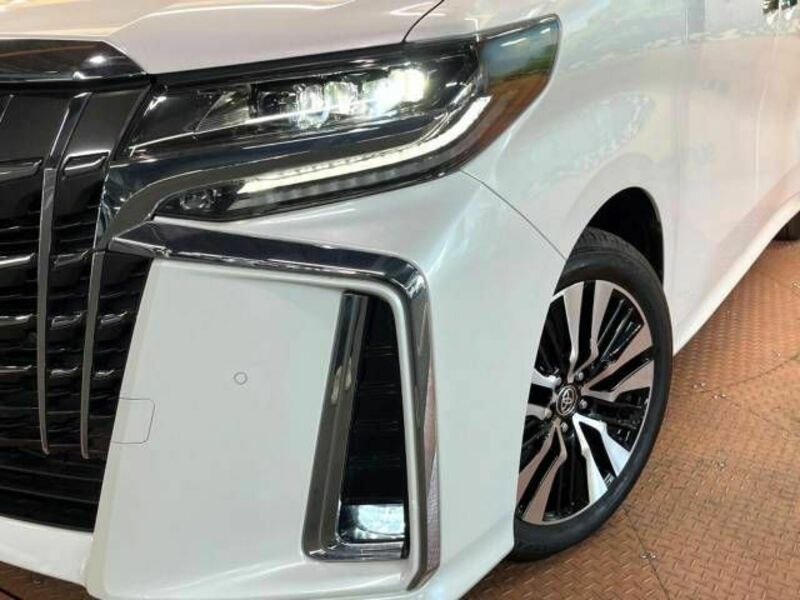 ALPHARD-14