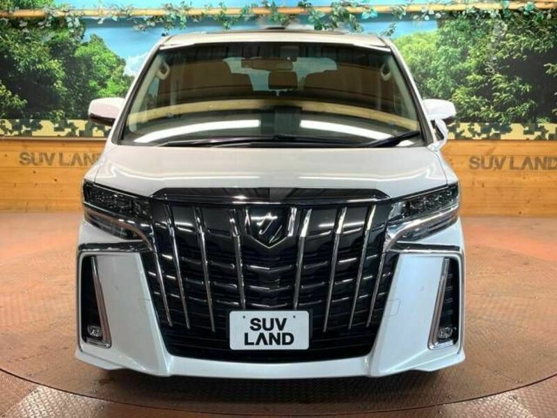 ALPHARD-16
