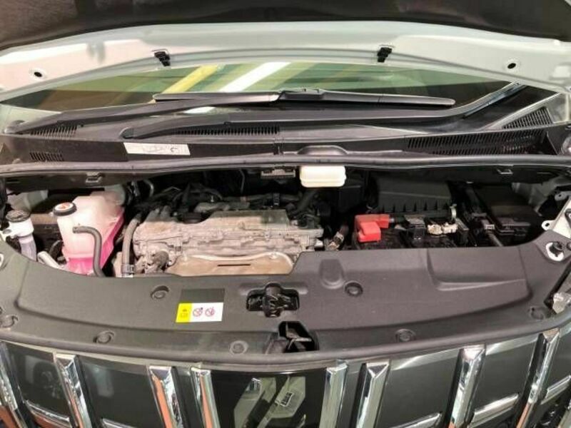 ALPHARD-18
