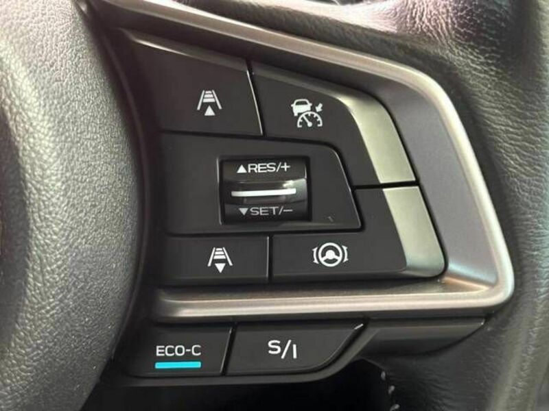 FORESTER-4