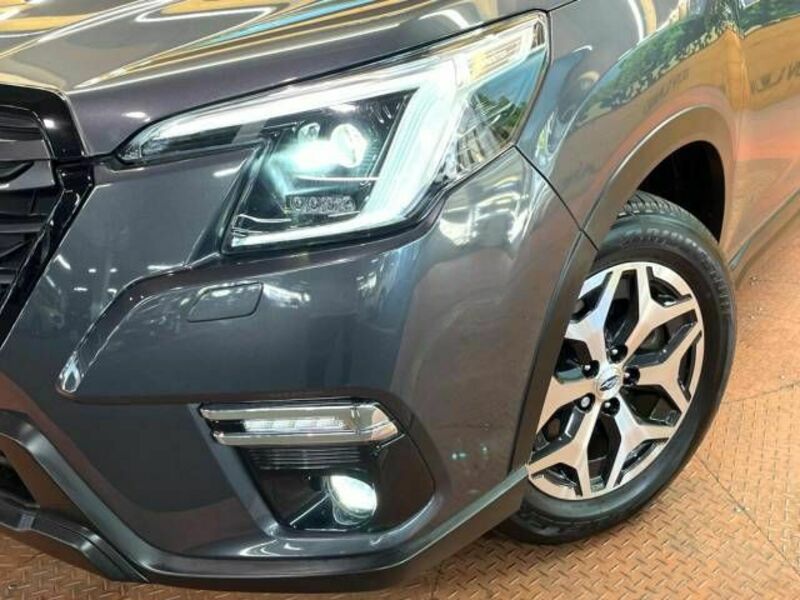 FORESTER-14