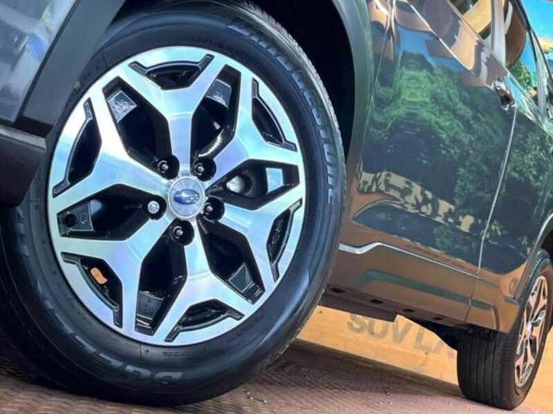 FORESTER-15