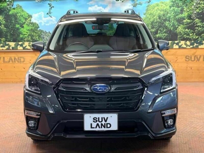 FORESTER-16
