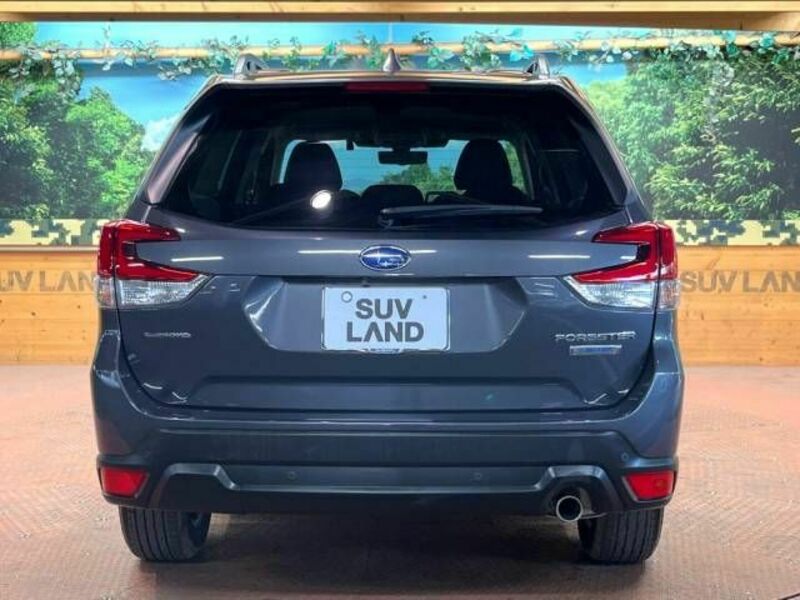 FORESTER-17