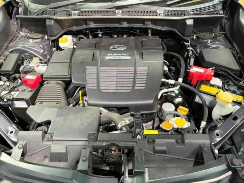 FORESTER-18