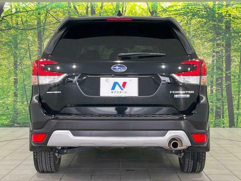 FORESTER-15