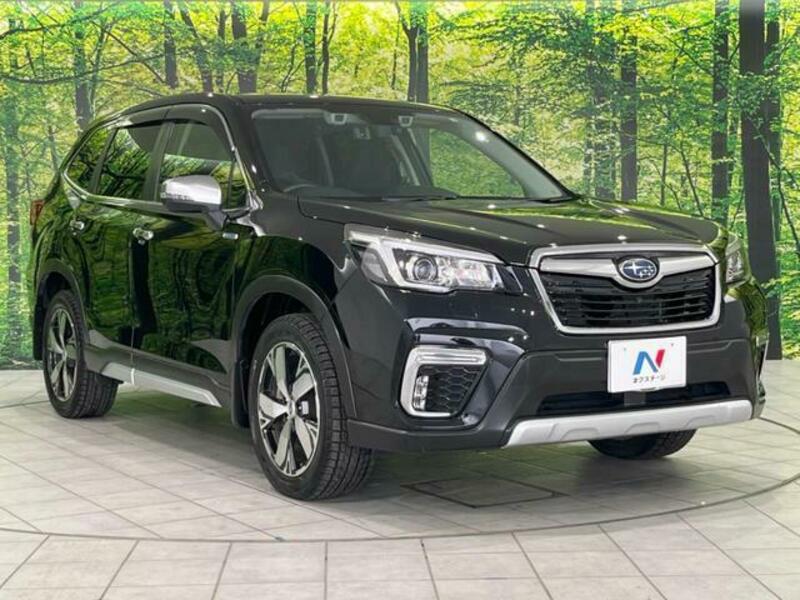 FORESTER-16