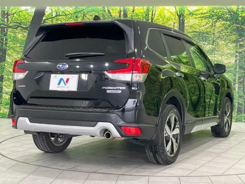 FORESTER-17