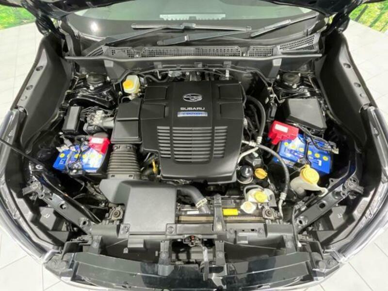 FORESTER-18