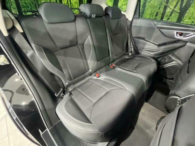 FORESTER-9