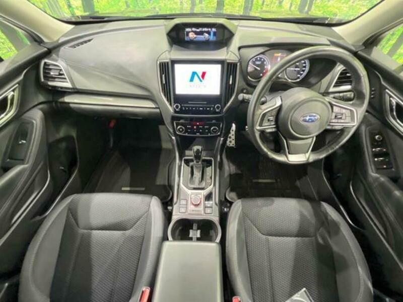FORESTER-1
