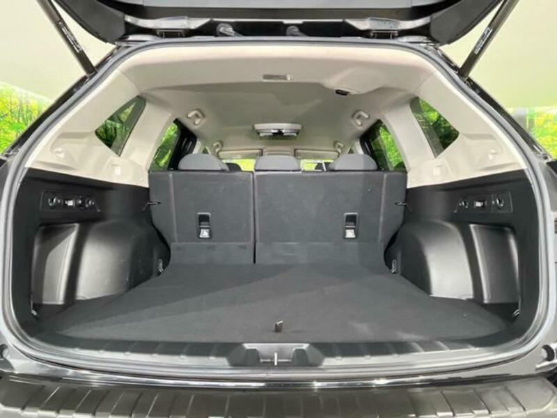 FORESTER-10