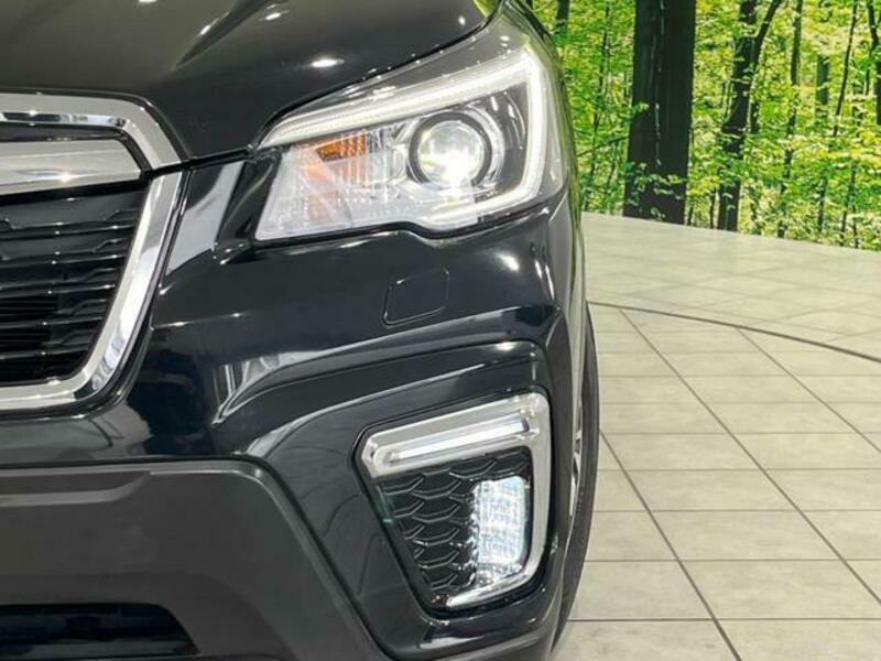 FORESTER-12