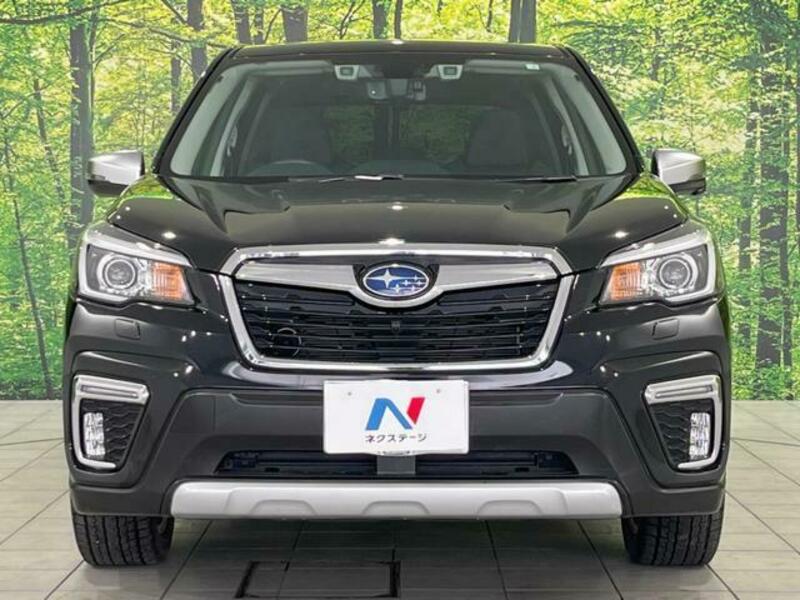 FORESTER-14